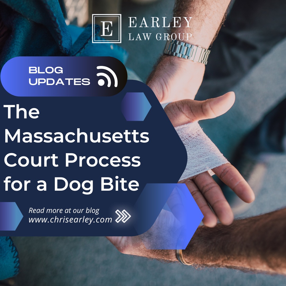 The Massachusetts Court Process for a Dog Bite Massachusetts Personal