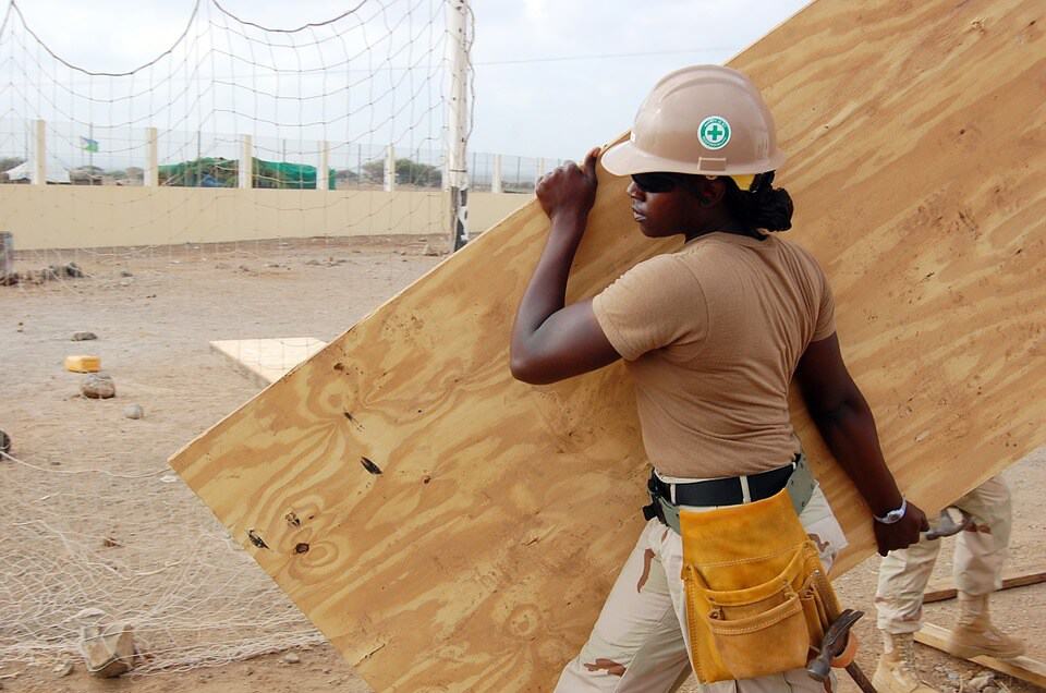 worker carrying wood