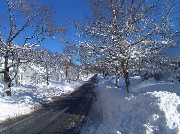 snowy path winter